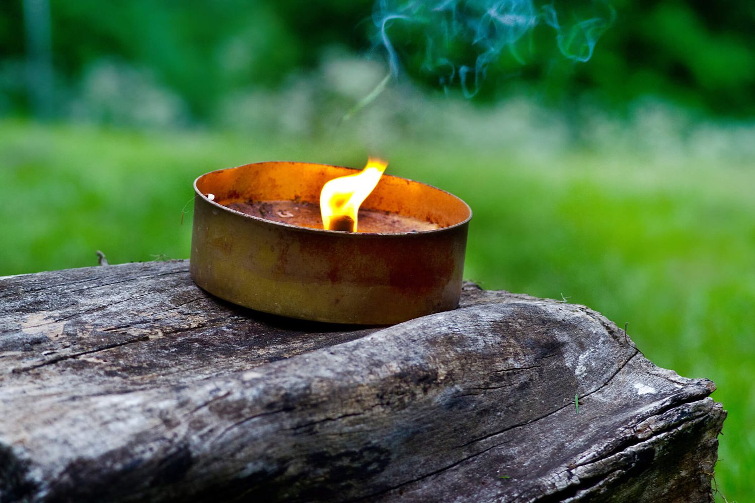Do Citronella Candles Actually Repel Mosquitoes?