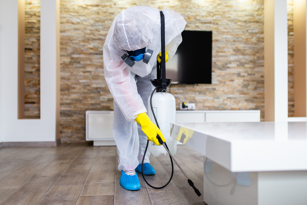 How Pest Control Can Improve Your Home