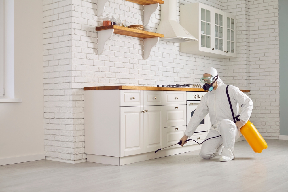 Why Regular Pest Control Services Are Essential for Every Homeowner